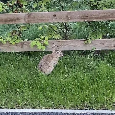 Homestay In Lovely Shared House Away From Shared Bathroom *