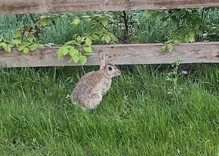 Quarto em Acomodações Particulares In Lovely Shared House Away From Shared Bathroom *